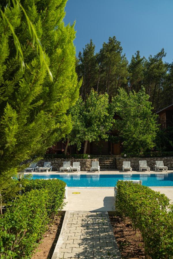 Olimpia Hotel Olympos Exteriér fotografie