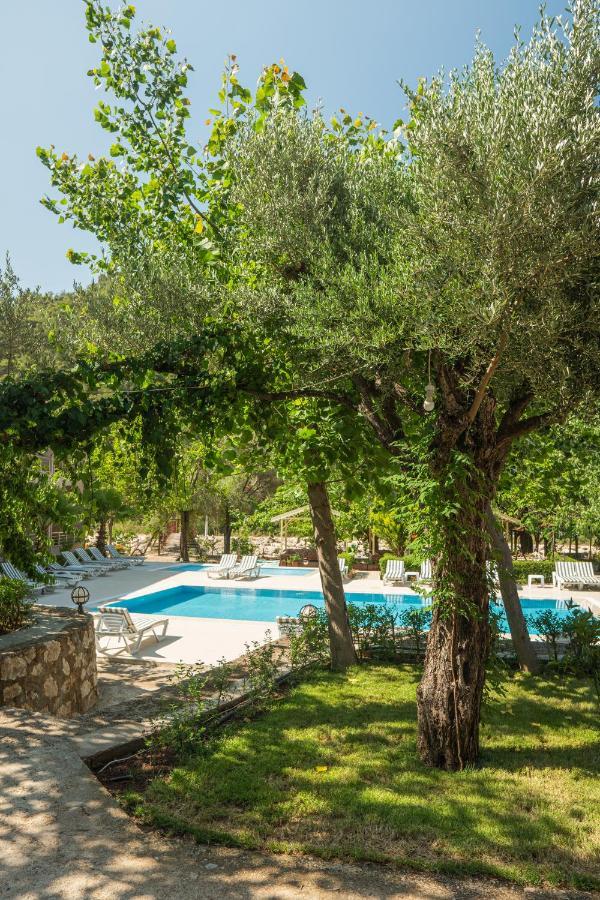 Olimpia Hotel Olympos Exteriér fotografie