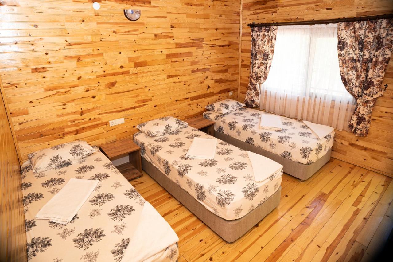 Olimpia Hotel Olympos Exteriér fotografie