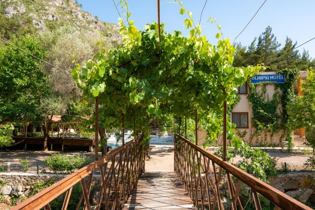 Olimpia Hotel Olympos Exteriér fotografie